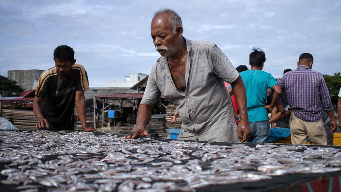 Workers are seen carrying out drying anchovies at a fishing village in Lhokseumawe, on December 4, 2022, in Aceh Province, Indonesia. (Photo by Fachrul Reza/NurPhoto via Getty Images)