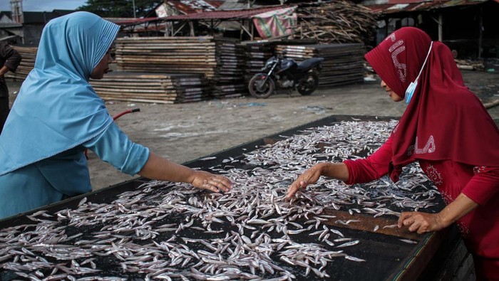 Workers are seen carrying out drying anchovies at a fishing village in Lhokseumawe, on December 4, 2022, in Aceh Province, Indonesia. (Photo by Fachrul Reza/NurPhoto via Getty Images)