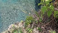 Broken Beach dengan laut biru dan tebing curam yang indah