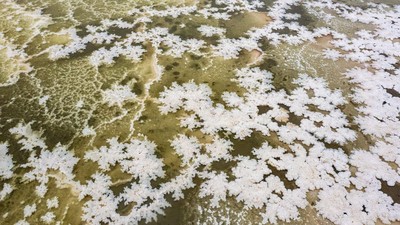 Brrr... Bunga Es Mekar di Danau Garam Yuncheng China
