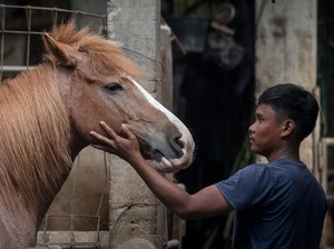 Cerita Iptu Warsito, Polisi yang Akan Jadi Kusir Kuda Kirab Kaesang-Erina