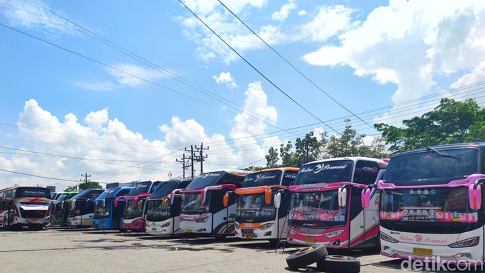 Perwakilan Bus di Makassar
