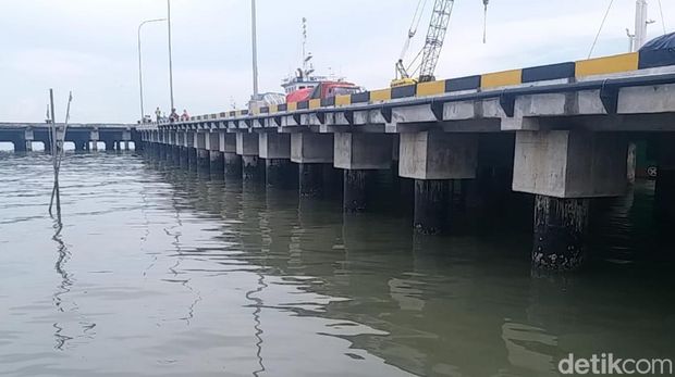 Petugas BKSDA Jatim melakukan pencarian buaya yang viral di perairan Gresik.