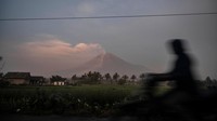 Sebelumnya, Gunung Semeru kembali erupsi. Kali ini erupsi terjadi sekitar pukul 02.46 WIB, Minggu (43/12/2022) dengan tinggi kolom abu 1.500 meter di atas puncak gunung sekitar 5.176 meter di atas permukaan laut. (Juni Kriswanto/AFP/Getty Images).
