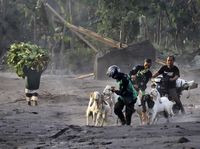 Penampakan Tumpukan Uang Rp 15,2 M Barang Bukti TPPU Bandar Narkoba Riau
