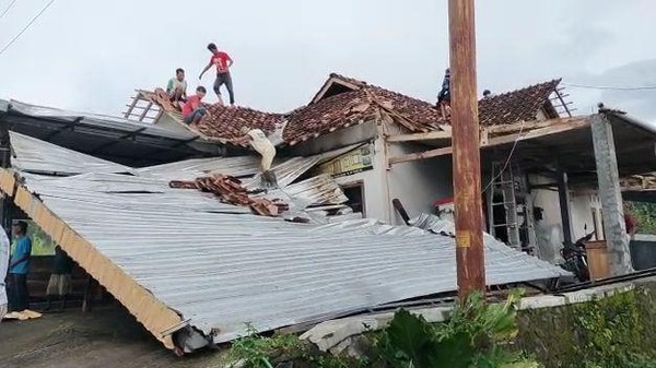 Boglangan poklik kamari Boglangan poklik kamari