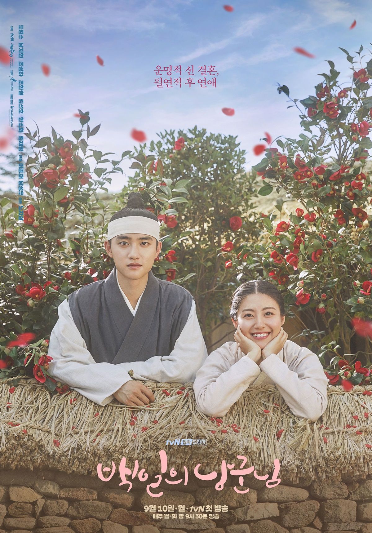 Drama Korea 100 Days My Prince