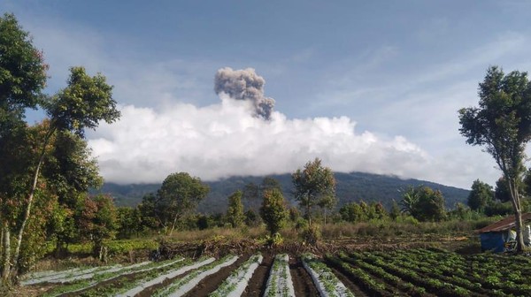Potret Erupsi Gunung Kerinci Keluarkan Abu Pekat Setinggi 700 Meter