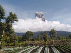 Selama Sebulan, Gunung Kerinci Erupsi 20 Kali