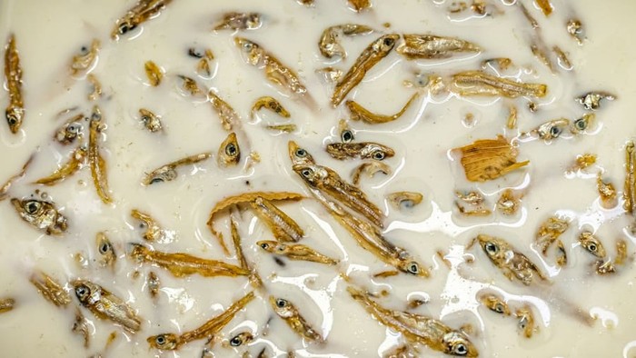 Es krim unik di Afrika ini tawarkan cita rasa ikan teri