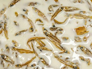 Uniknya Es Krim Rasa Ikan Teri, Mau Coba?