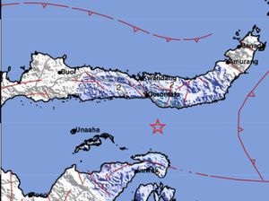Gempa Kembali Guncang Gorontalo Utara, Terkini Berkekuatan M 4,6