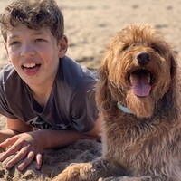 Seperti dikutip dari Brightside, psikolog menyebut fenomena ini sebagai efek paparan belaka. Yakni kecenderungan untuk memilih sesuatu semata-mata karena mereka familiar. Foto: Itchpet