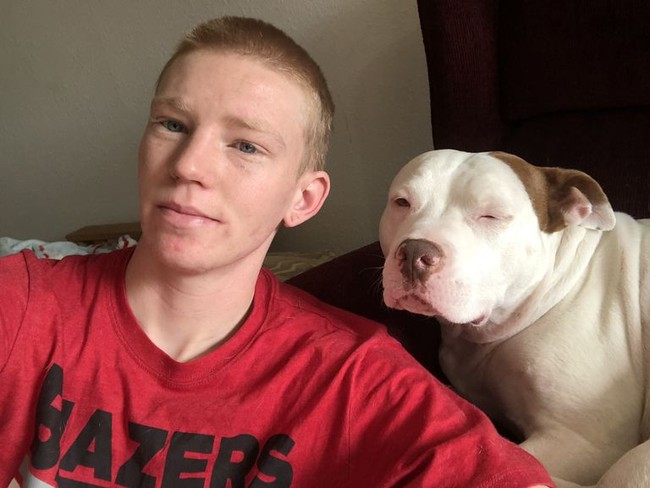 Sebaliknya, responden berambut pendek akan memilih anjing bertelinga pendek atau kecil. Foto: Itchpet