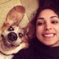 Hewan peliharaan seperti anjing dan kucing sering dianggap sebagai keluarga sendiri oleh pemiliknya. Bahkan ada yang menyebut mereka sebagai ‘anak bulu’. Foto: Itchpet