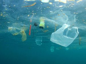Miris Kuda Nil Dicekoki Plastik, Ini Akibat Makan Plastik pada Hewan