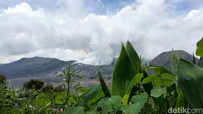 Wakil Bupati Probolinggo Timbul Prihanjoko mengatakan pembangunan jembatan di Dusun Cemoro Lawang, Desa Ngadisari, Sukapura, Probolinggo itu memang telah tuntas. Jembatan ini akan diresmikan di penghujung 2022 dan berharap dapat dilakukan Presiden Joko Widodo (Jokowi).