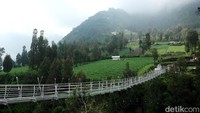 Jembatan kaca ini sendiri membentang di kawasan Bukit Seruni Point dengan panjang 120 meter, lebar 1,8 meter dan 3 meter dengan kedalaman jurang 80 meter. Dengan berdiri di jembatan kaca yang melintang dari arah barat ke timur ini, pengunjung bisa melihat keindahan eksotika gunung di sekitarnya. Di saat cuaca cerah, wisatawan bisa melihat 3 gunung api aktif sekaligus yakni Bromo, Semeru, dan Gunung Batok di sisi utara. Dan untuk sisi selatan, pengunjung yang berada di tengah jembatan kaca, bisa melihat perbukitan, jurang, dan lahan pertanian warga suku Tengger.