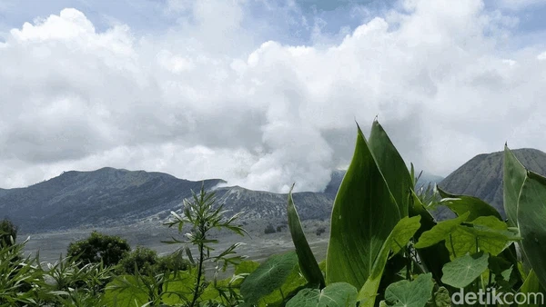 Potret Jembatan Kaca Pertama di Bromo, Siap Jadi Magnet Wisatawan