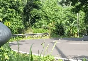 Kelokan Cibareno Sukabumi Rawan Kecelakaan gegara Minim Penerangan