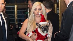 Penculik Anjing Lady Gaga Terancam Dipenjara 21 Tahun