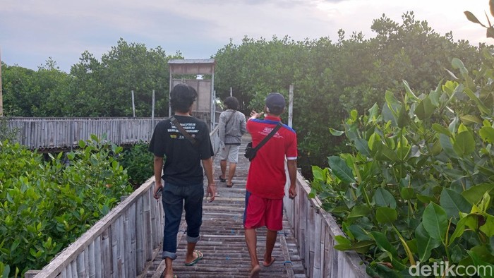 Lokasi wisata Mangrove Edupark Tambakrejo, Semarang, Selasa (6/12/2022).