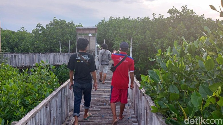 Lokasi wisata Mangrove Edupark Tambakrejo, Semarang, Selasa (6/12/2022). Lokasi wisata Mangrove Edupark Tambakrejo, Semarang, Selasa (6/12/2022).