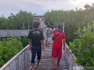 Melihat Mangrove Edupark Tambakrejo, Wisata Alam Rintisan Nelayan Semarang