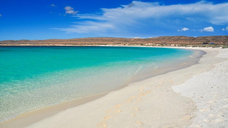 Ningaloo Reef di Australia Barat Ningaloo Reef di Australia Barata