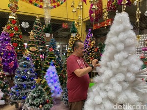 Penjualan Pohon Natal di Medan Naik 50 Persen, Stok Menipis