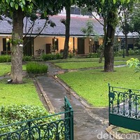 Pendopo Agung Kedaton Ambarrukmo merupakan cagar budaya yang dikelola oleh Royal Ambarrukmo dengan pengawasan Keraton Yogyakarta. Bangunan hingga taman asli tetap terjaga dan terawat. Bahkan sembilan pohon yang ditanam di Royal Garden, taman yang menjadi cikal bakal pendopo, masih berdiri kokoh meski sudah berusia ratusan pohon. Pohon tersebut di antaranya kemuning, beringin putih, dan puntadewa. Sembilan sendiri melambangkan angka tertinggi dalam budaya Jawa. (Foto: Daniel Ngantung/detikcom)