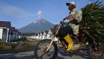 Potret Aktivitas Penyintas Gunung Semeru di Huntap