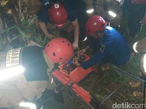 Mobil Boks Terjun ke Jurang di Garut, 3 Orang Tewas!
