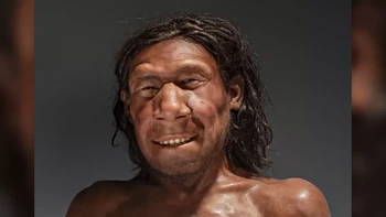 Ini bukan homo sapiens, melainkan wajah Neanderthal berusia muda, yang hidup di sekitar Belanda pada 70 ribu tahun silam. Foto: Live Science