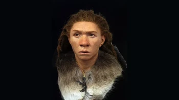Wajah wanita bangsa Neanderthal yang hidup pada 40 ribu tahun silam. Usianya sekitar 20 tahun dan dia ditemukan dikuburkan dengan bayi di dadanya. Foto: Live Science