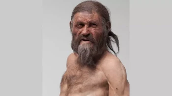Manusia es Otzi ditemukan di perbatasan Italia dan Austria. Kemungkinan, ia hidup sekitar 3000 tahun sebelum masehi, meninggal di usia sekitar 46 tahun. Foto: Live Science