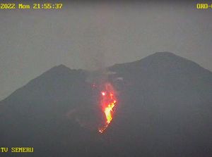 Semeru Masih Erupsi, Lava Pijar Terlihat pada Senin Malam