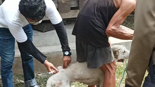 Tim vaksinator Kabupaten Jembrana saat melakukan vaksinasi emergency di Kecamatan Mendoyo, Kabupaten Jembrana.