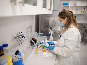 RNA: Pengertian, Struktur, Jenis, dan Perbedaannya dengan DNA