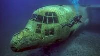Kendaraan militer mulai dari tank, kendaraan pengangkut pasukan, dan helikopter ditempatkan di kawasan terumbu karang di Laut Merah dengan bentuk formasi layaknya sebuah pertempuran.