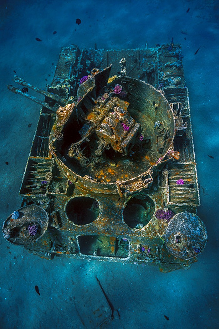 Ada Tank-Helikopter, Ini Museum Militer Bawah Laut Pertama di Dunia Guns swivelled outward as if to engage an enemy in the depths as a tank sits silently on the floor of the Red Sea near Aqaba in Jordan. (Photo by: Tyson Paul/Loop Images/Universal Images Group via Getty Images)