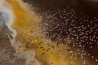 Environmental Photographer of the Year 2022