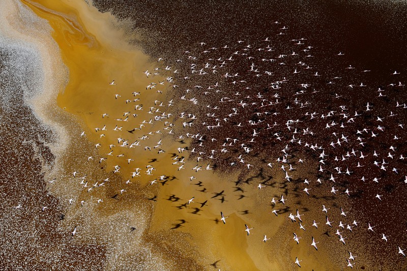 Environmental Photographer of the Year 2022