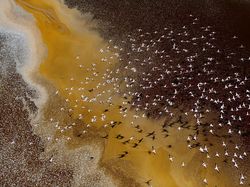 Karya Jawara Kontes Foto Lingkungan, Ada dari Depok