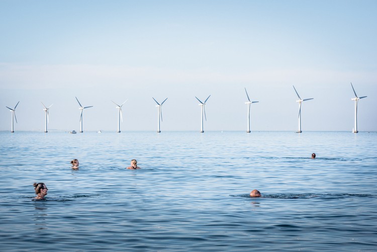 Environmental Photographer of the Year 2022