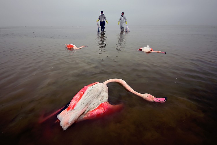 Environmental Photographer of the Year 2022 Environmental Photographer of the Year 2022