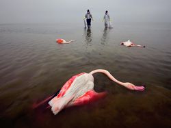 Karya Jawara Kontes Foto Lingkungan, Ada dari Depok