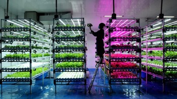 Pemenang kategori Vision of the Future diraih Arie Basuki. Lokasi: Depok, Indonesia. Petugas melakukan pemeliharaan tanaman sayuran di gudang Sentra Farm. Aneka sayuran seperti selada keriting, romaine, oclave green, siiomak, kailan dan lain-lain dibudidayakan dalam ruangan yang cahaya dan suhunya tetap stabil. Keuntungan dari vertical farming adalah bebas pestisida dengan masa panen hanya 30 hari dan hasil panen rata-rata 20 sampai 30 kg sayuran/hari.” Foto: Environmental Photographer of the Year