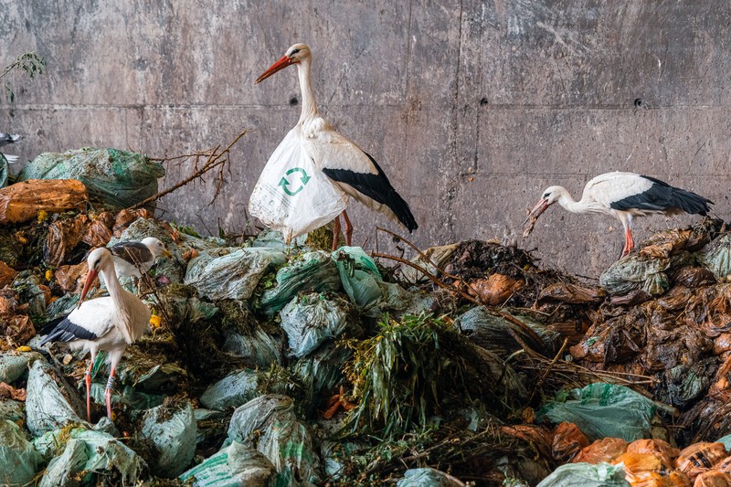 Environmental Photographer of the Year 2022