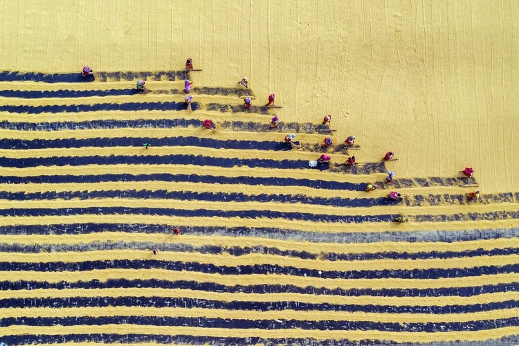 Environmental Photographer of the Year Environmental Photographer of the Year 2022